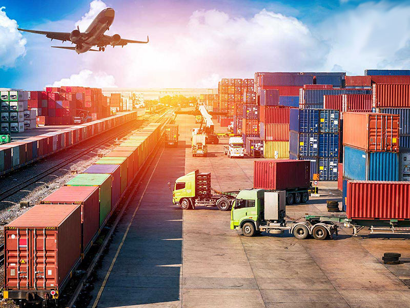 học logistic ra làm gì